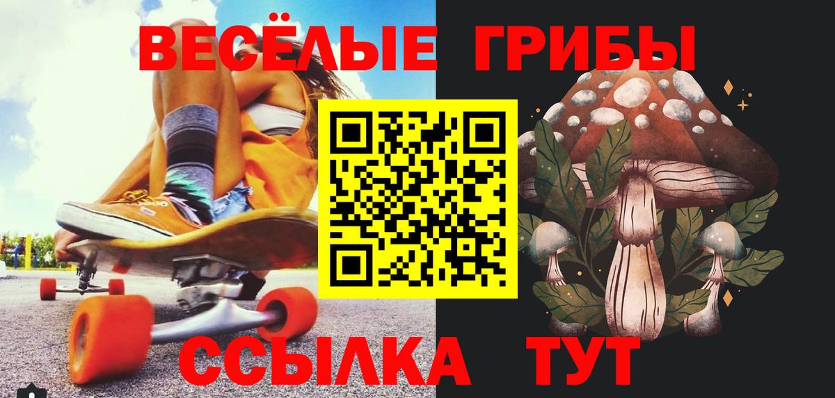 Псилоцибиновые грибы Psilocybine cubensis  Вход с VPN  Черкесск 