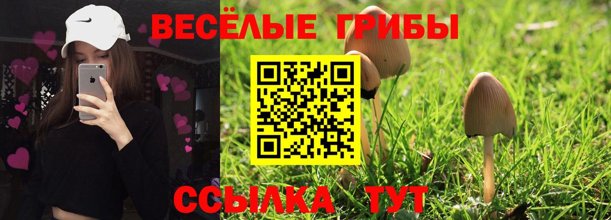 Псилоцибиновые грибы Cubensis Черкесск